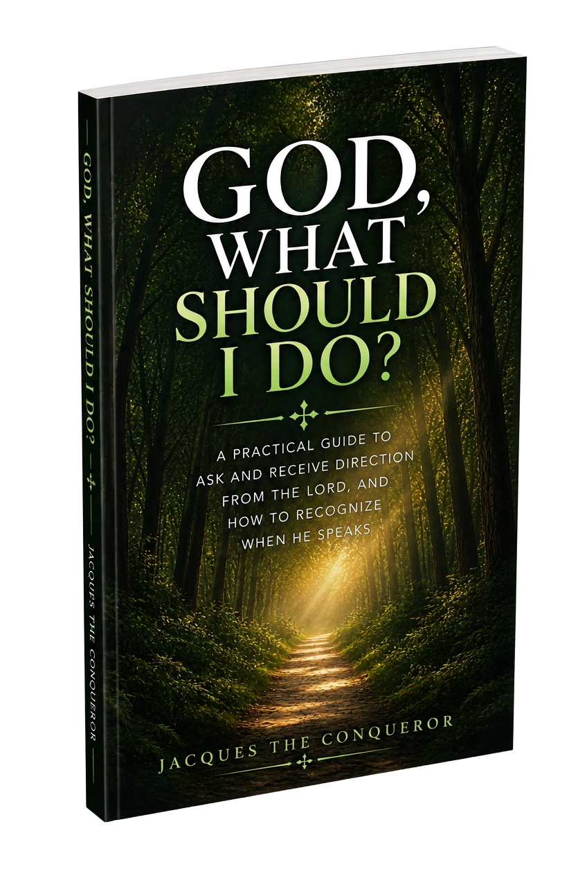 God, What Should I Do? ebook cover